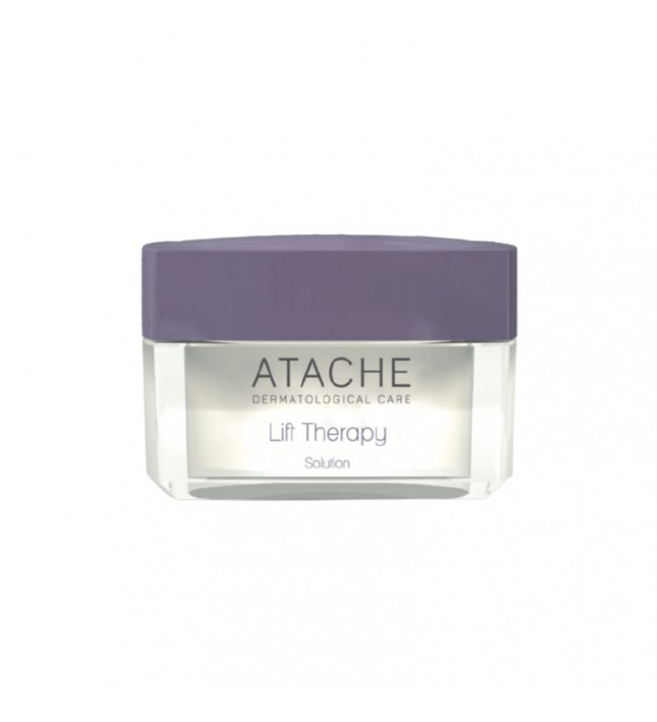 LT Solution - Atache