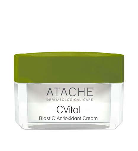 [229-242] Blast C Antioxidant Cream - Atache