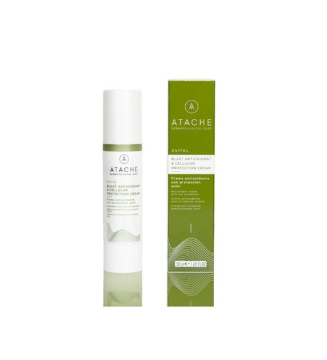 [298-313] Blast Antioxidant & Cellular Protection Cream - Atache